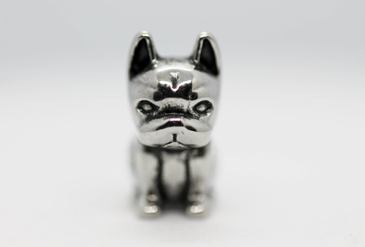 CHARM PERRITO SENTADO