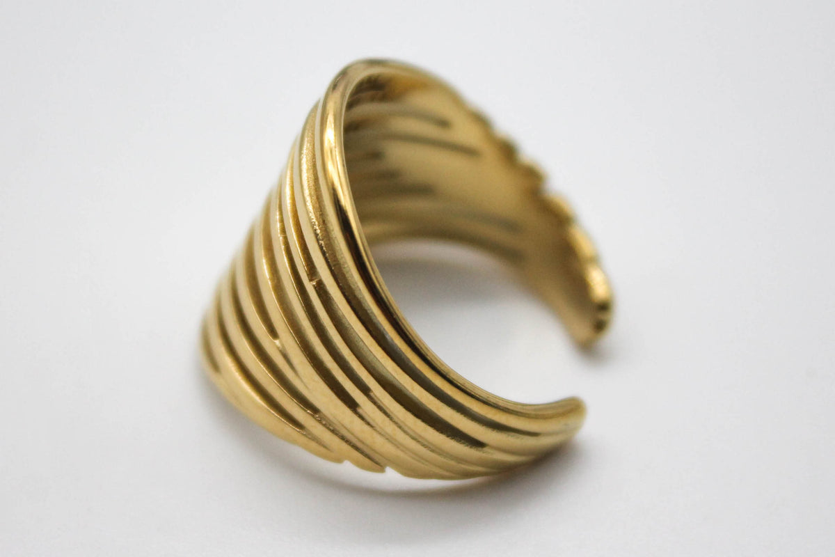 ANILLO FREISA