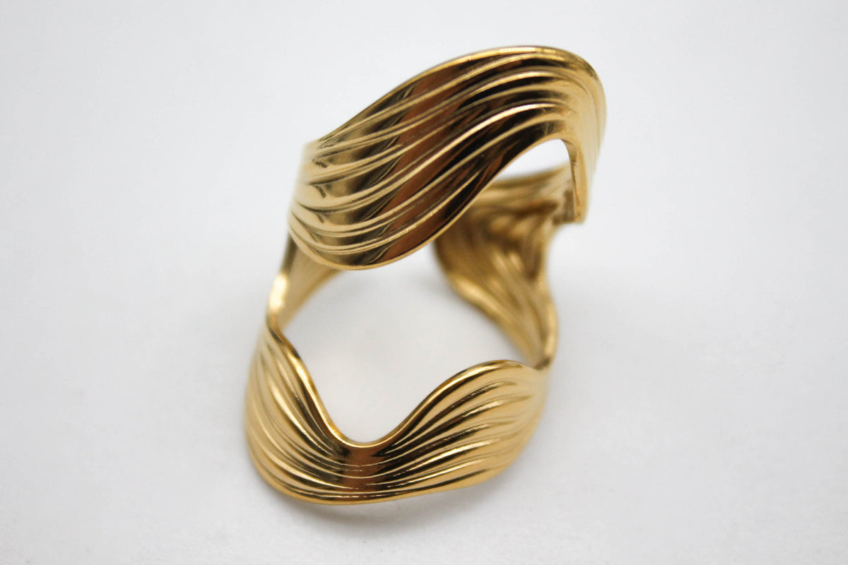 ANILLO BELTZA