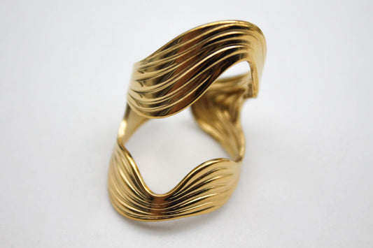 ANILLO BELTZA