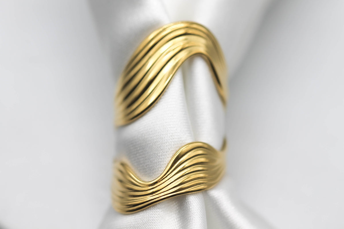 ANILLO BELTZA