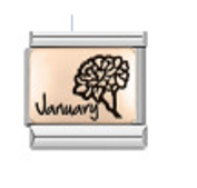 CHARM MESES DEL AÑO; PULSERA ITALIANA
